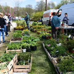 Fête de la fleur et du jardin 2022